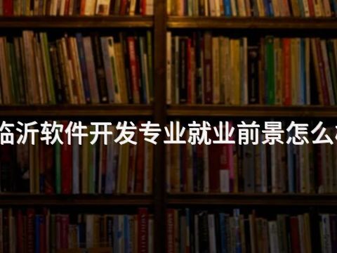 临沂软件开发专业就业前景怎么样(图1) 临沂软件开发专业就业前景怎么样(图1)