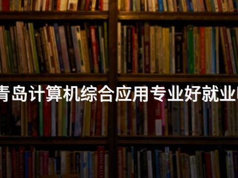 青岛计算机综合应用专业好就业吗