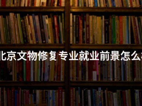 北京文物修复专业就业前景怎么样(图1)