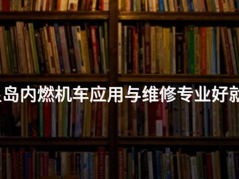 秦皇岛内燃机车应用与维修专业好就业吗(图1) 秦皇岛内燃机车应用与维修专业好就业吗(图1)
