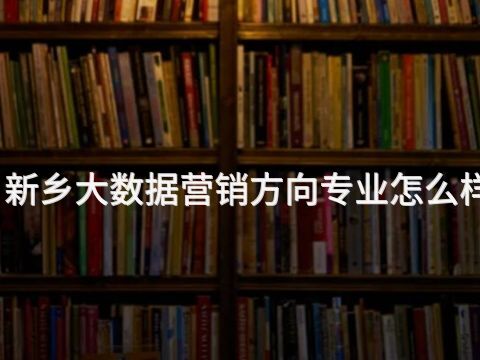 新乡大数据营销方向专业怎么样