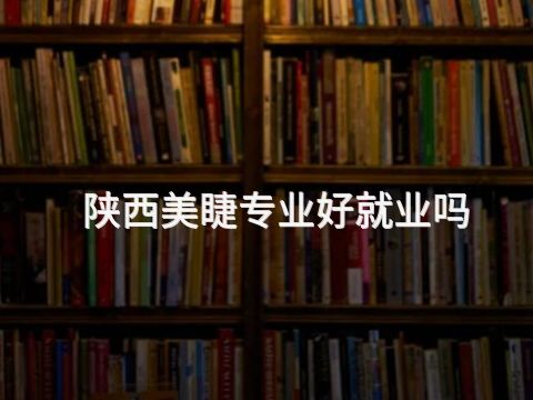 陕西美睫专业好就业吗