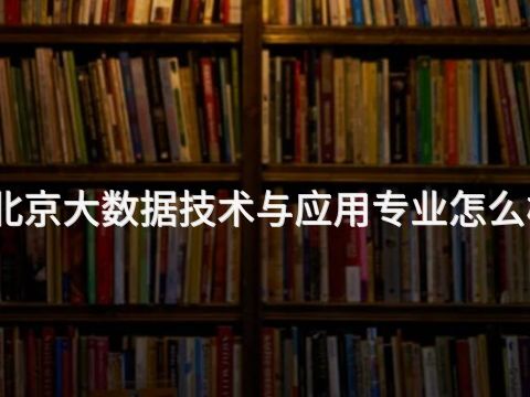 北京大数据技术与应用专业怎么样