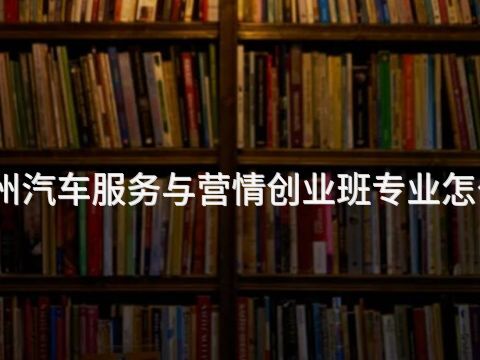 滨州汽车服务与营情创业班专业怎么样