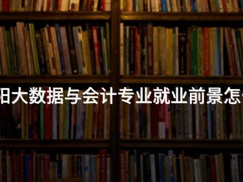 贵阳大数据与会计专业就业前景怎么样(图1) 贵阳大数据与会计专业就业前景怎么样(图1)