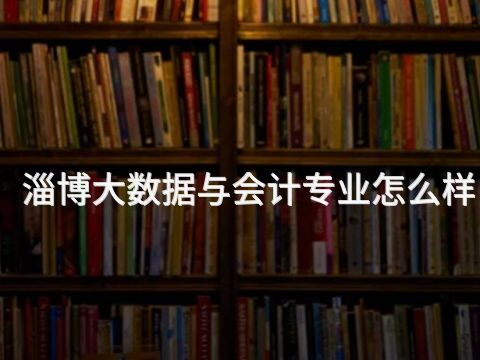 淄博大数据与会计专业怎么样(图1) 淄博大数据与会计专业怎么样(图1)