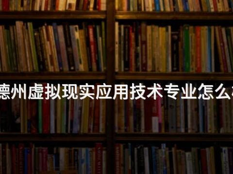 德州虚拟现实应用技术专业怎么样