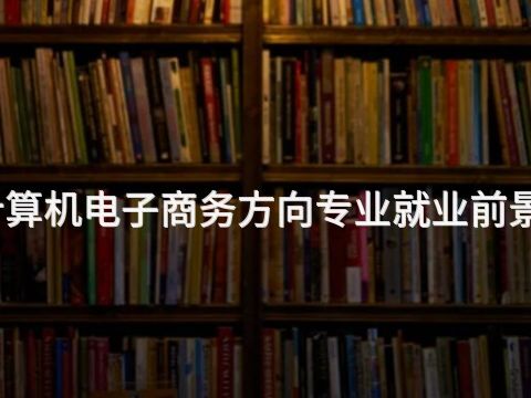 临沂计算机电子商务方向专业就业前景怎么样