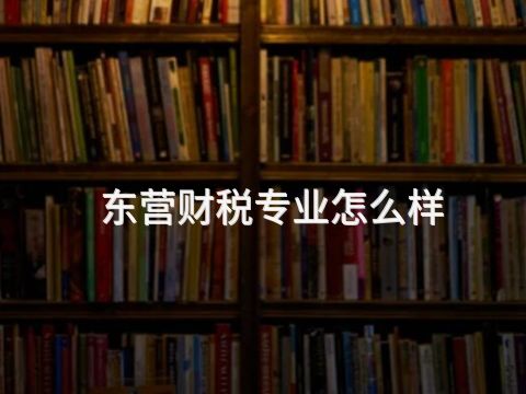 东营财税专业怎么样
