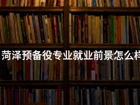 菏泽预备役专业就业前景怎么样(图1)