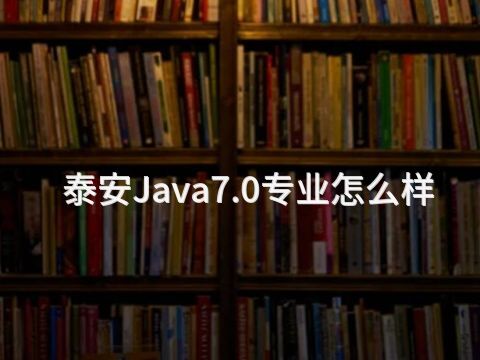泰安Java7.0专业怎么样