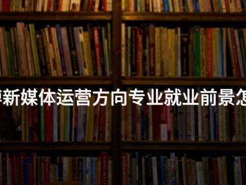 淄博新媒體運營方向專業就業前景怎么樣
