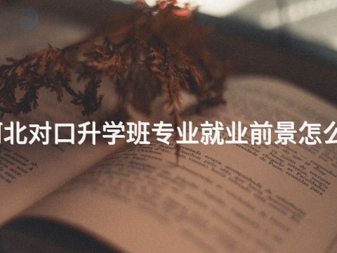 河北对口升学班专业就业前景怎么样(图1)