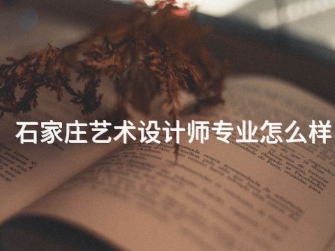 石家庄艺术设计师专业怎么样
