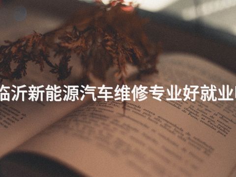 临沂新能源汽车维修专业好就业吗