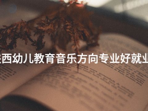 陕西幼儿教育音乐方向专业好就业吗