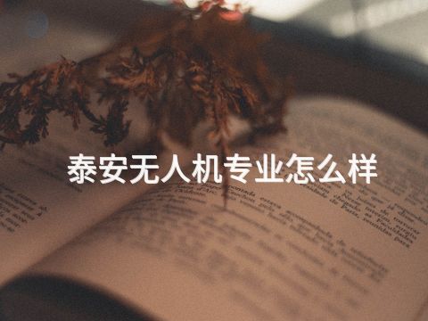 泰安无人机专业怎么样