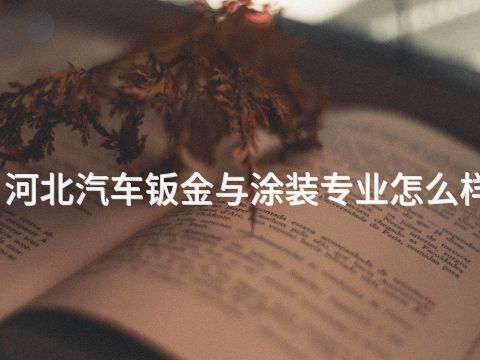 河北汽车钣金与涂装专业怎么样(图1) 河北汽车钣金与涂装专业怎么样(图1)