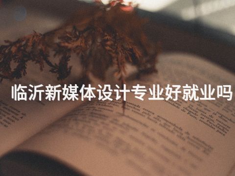临沂新媒体设计专业好就业吗