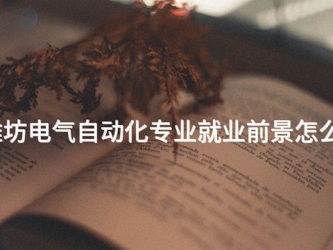 潍坊电气自动化专业就业前景怎么样