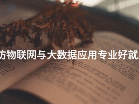 廊坊物联网与大数据应用专业好就业吗(图1)