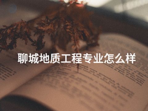 聊城地质工程专业怎么样