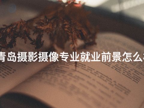 青島攝影攝像專業(yè)就業(yè)前景怎么樣(圖1) 青島攝影攝像專業(yè)就業(yè)前景怎么樣(圖1)