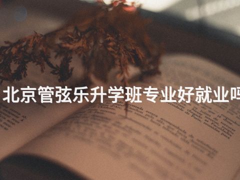 北京管弦乐升学班专业好就业吗