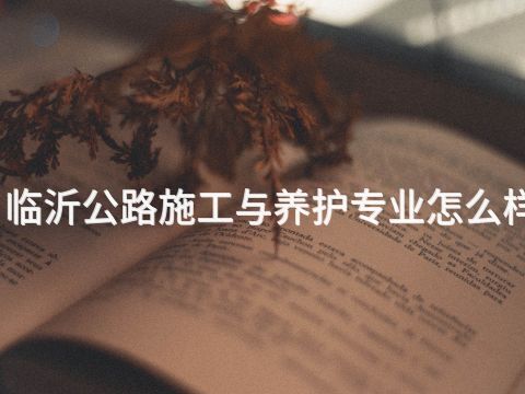 临沂公路施工与养护专业怎么样