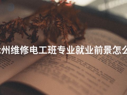 沧州维修电工班专业就业前景怎么样