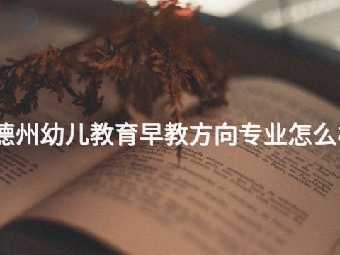 德州幼儿教育早教方向专业怎么样