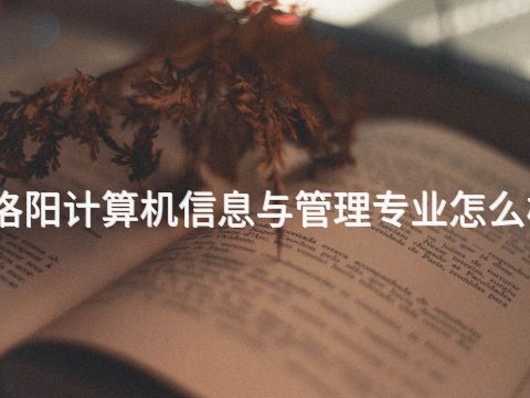 洛阳计算机信息与管理专业怎么样