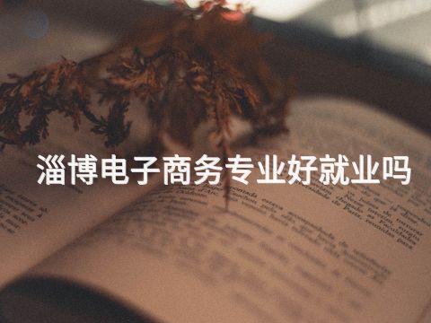 淄博電子商務專業好就業嗎