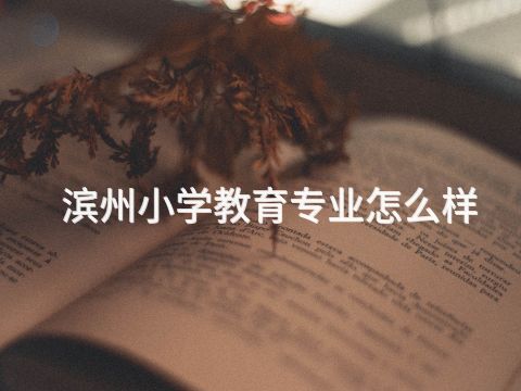 滨州小学教育专业怎么样