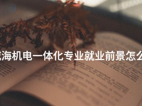 威海机电一体化专业就业前景怎么样(图1) 威海机电一体化专业就业前景怎么样(图1)