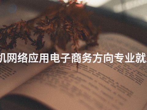 秦皇岛计算机网络应用电子商务方向专业就业前景怎么样