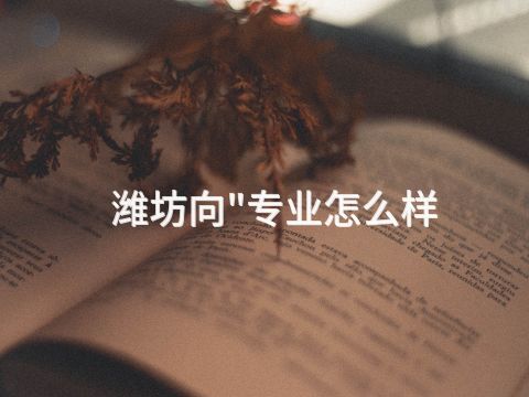 潍坊向"专业怎么样