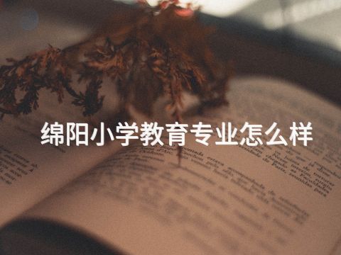 绵阳小学教育专业怎么样