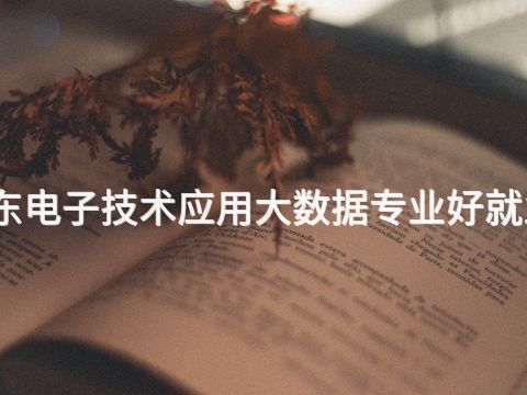 山东电子技术应用大数据专业好就业吗(图1) 山东电子技术应用大数据专业好就业吗(图1)