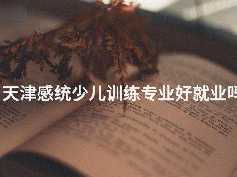 天津感统少儿训练专业好就业吗
