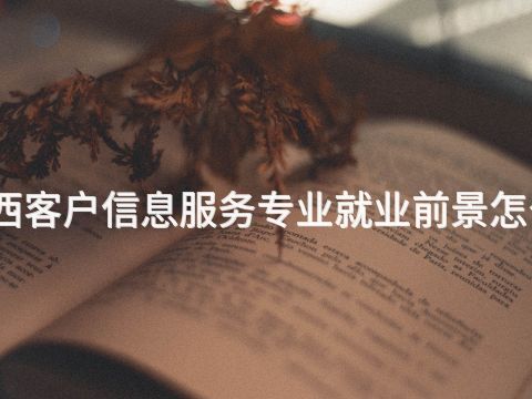 山西客户信息服务专业就业前景怎么样