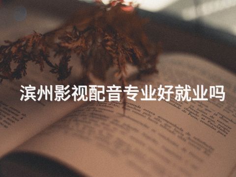 滨州影视配音专业好就业吗
