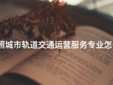 日照城市軌道交通運營服務專業怎么樣(圖1) 日照城市軌道交通運營服務專業怎么樣(圖1)