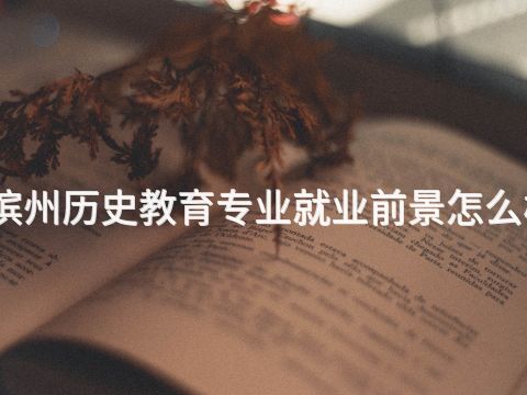 滨州历史教育专业就业前景怎么样