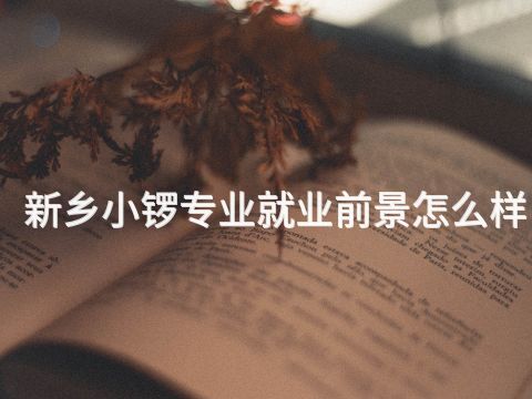 新乡小锣专业就业前景怎么样
