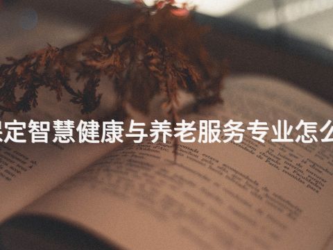 保定智慧健康與養老服務專業怎么樣