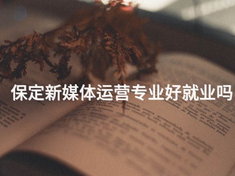 保定新媒体运营专业好就业吗