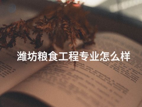 潍坊粮食工程专业怎么样