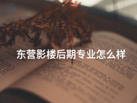 东营影楼后期专业怎么样(图1) 东营影楼后期专业怎么样(图1)