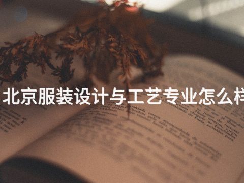 北京服装设计与工艺专业怎么样